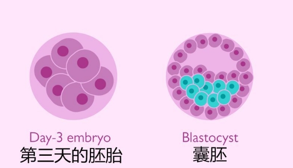 刚出生婴儿受凉了怎么办