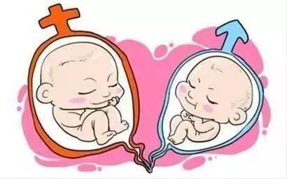 婴儿袜子