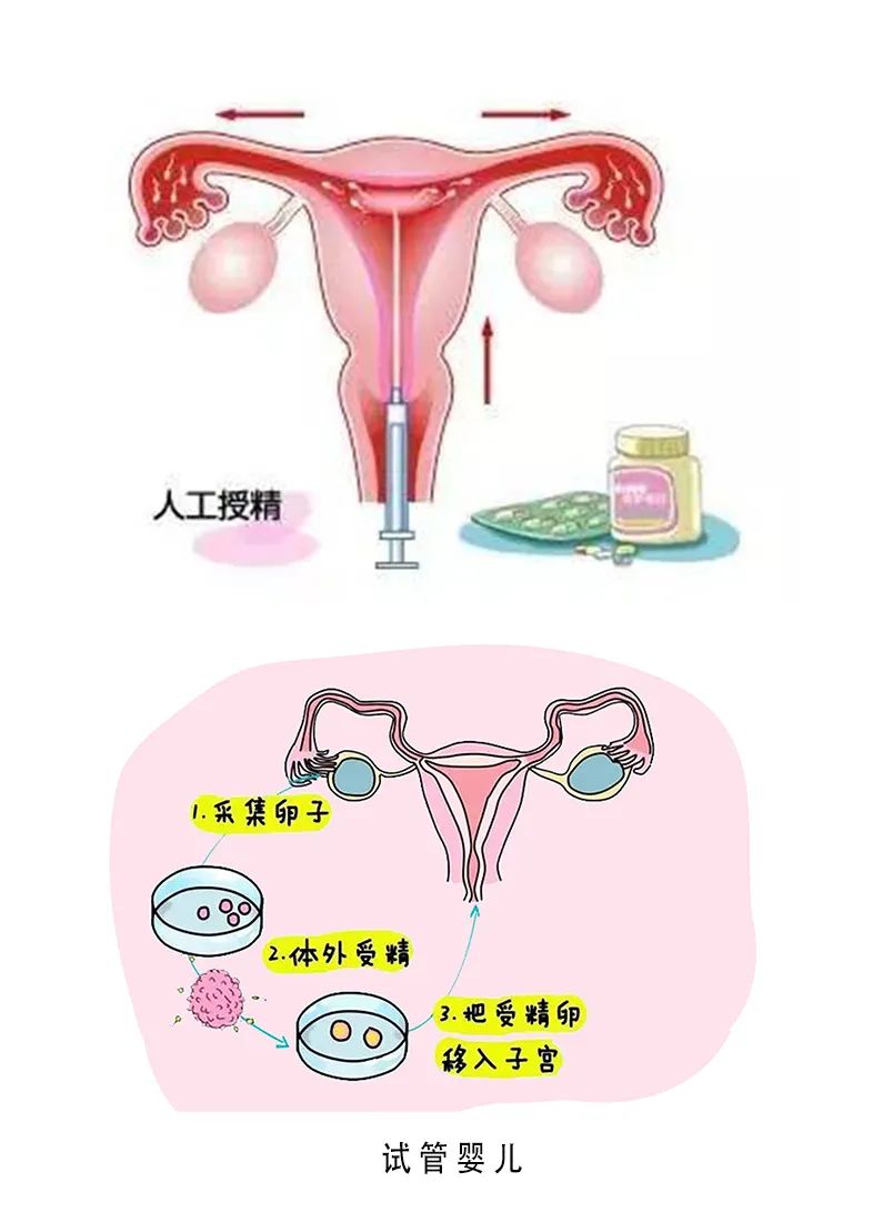 怀孕初期