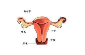 分娩