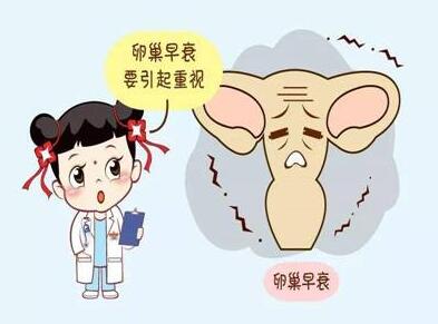 分娩顺产记录视频