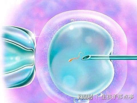 怀孕