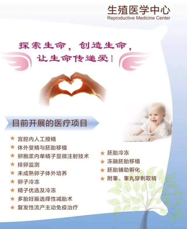 初次孕检B超