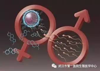 B超