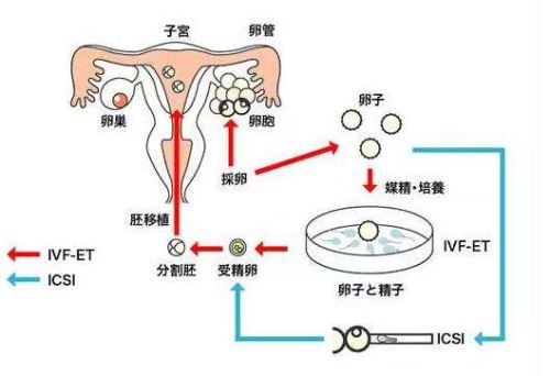 月经不规律