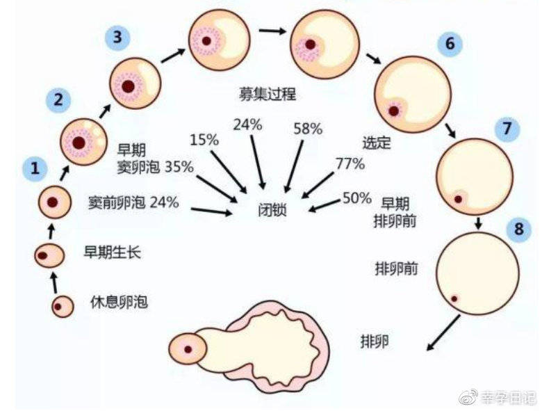 初生儿奶粉
