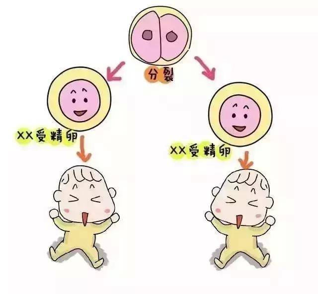 怀孕初期腹痛