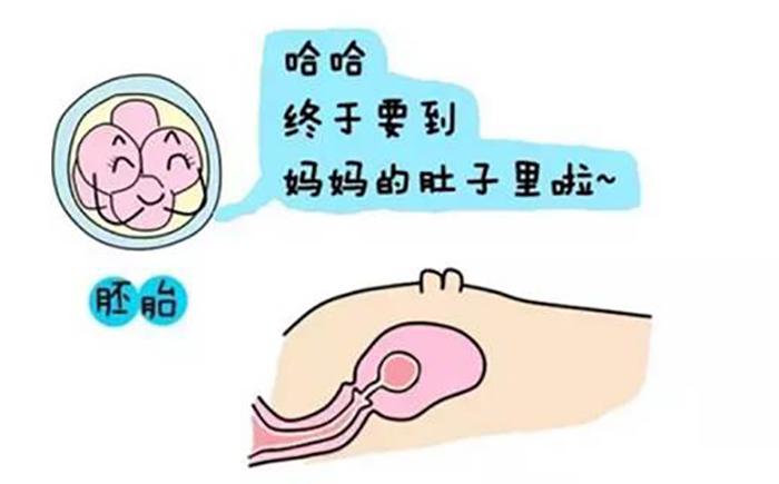 怀孕一个月打掉