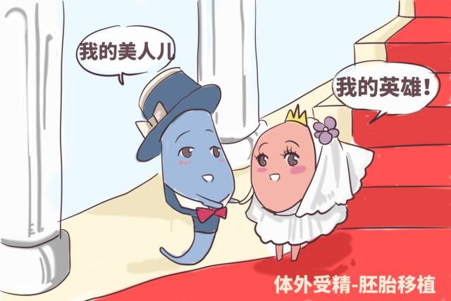 刚怀孕出血
