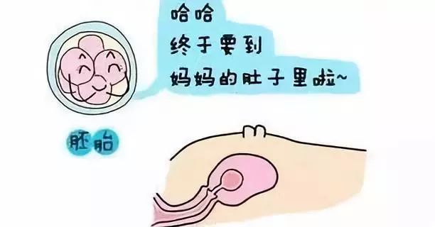 生化妊娠