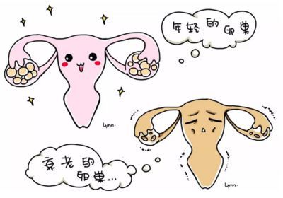 人工流产