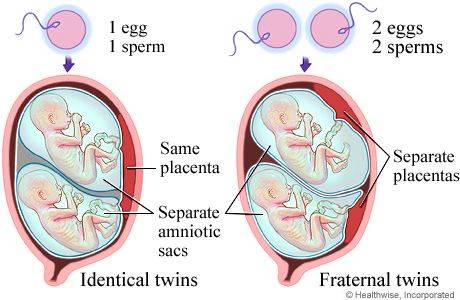 刚怀孕检查