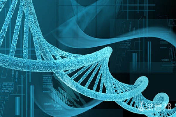 刚怀孕先兆流产