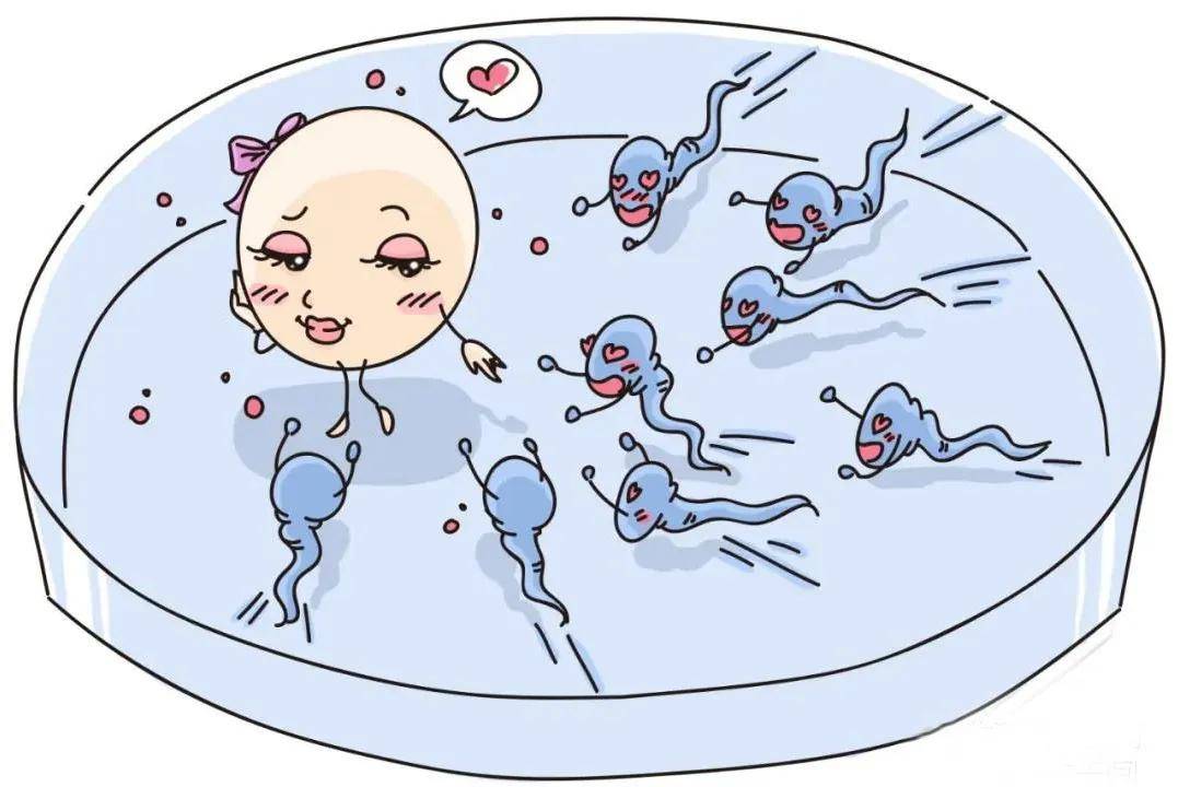 满月婴儿