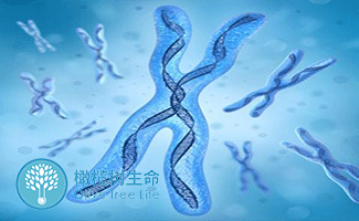 怀孕初期