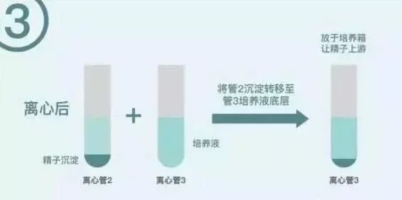 长沙三代试管