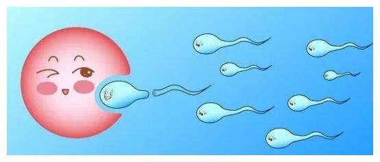 四川做试管不需要结婚证了吗
