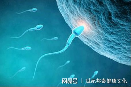 嘉兴是否有捐卵的医院