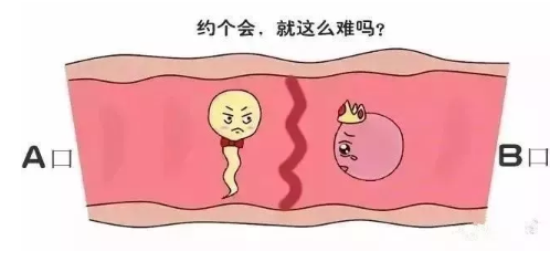 嘉峪关助孕公司