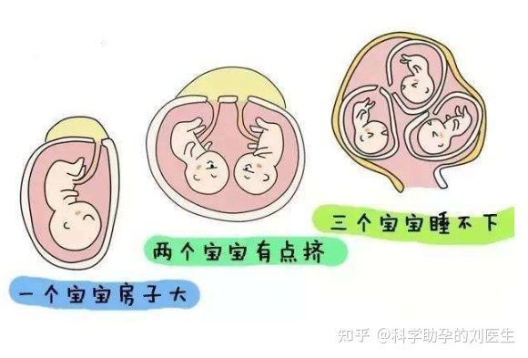 唐山捐卵试管生男孩