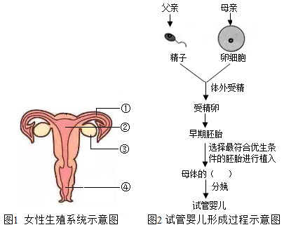 四川第三代试管婴儿